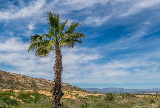 Herverkoop - Appartement / flat - Algorfa - Inland