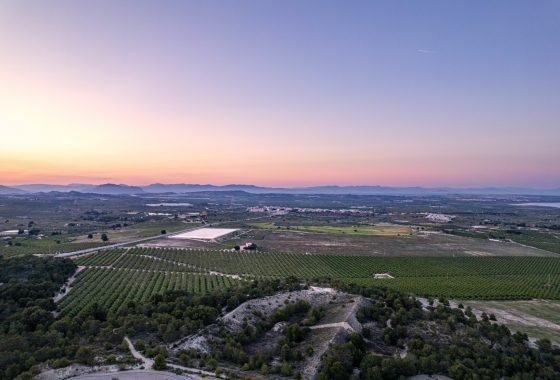 Reventa - Apartamento / piso - San Miguel de Salinas - Inland