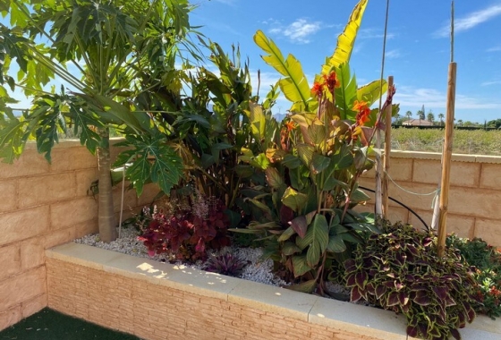 Herverkoop - Finca - Albatera - Inland