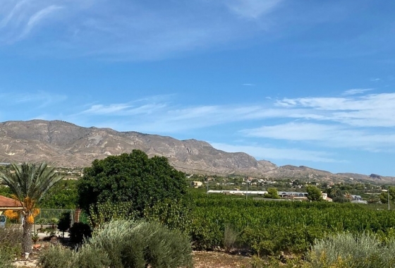 Herverkoop - Finca - Albatera - Inland