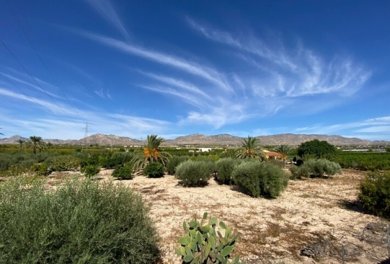 Herverkoop - Finca - Albatera - Inland