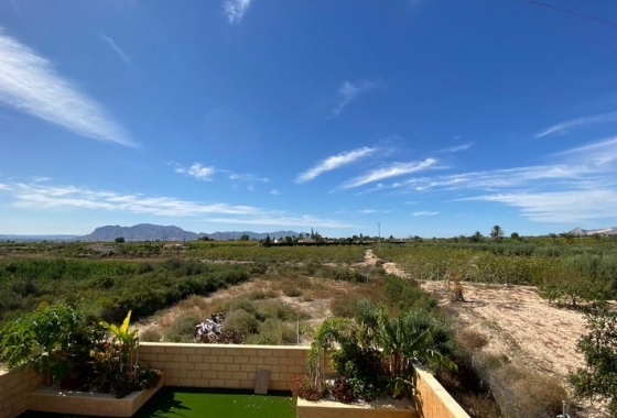 Herverkoop - Finca - Albatera - Inland