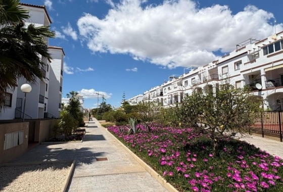 Herverkoop - Appartement / flat - Orihuela Costa - Costa Blanca