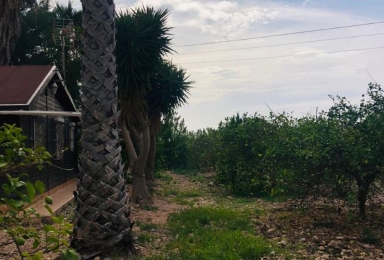 Wiederverkauf - Finca - Orihuela - Inland
