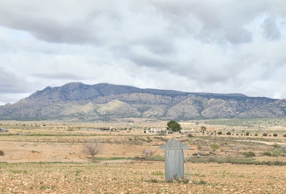 Herverkoop - Villa - Torre Del Rico - Inland
