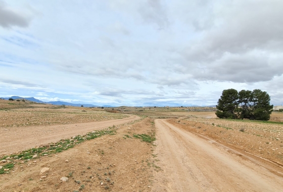 Herverkoop - Villa - Torre Del Rico - Inland