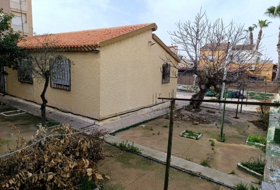 Wiederverkauf - Finca - Torrevieja - Nueva Torrevieja