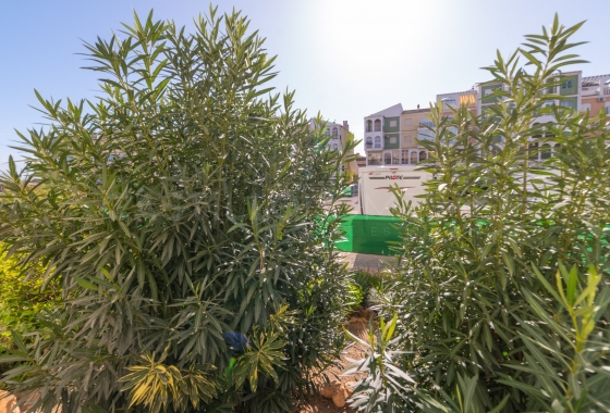 Herverkoop - Appartement / flat - Torrevieja - La Veleta