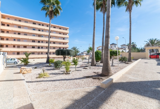 Herverkoop - Appartement / flat - Torrevieja - Torrelamata - La Mata
