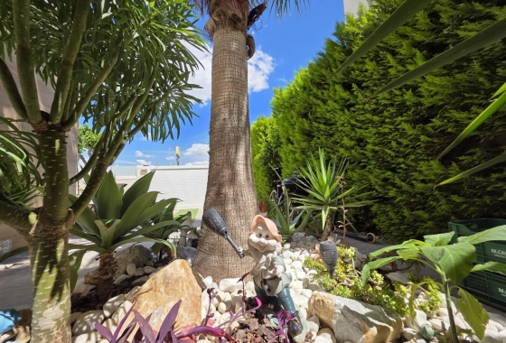 Herverkoop - Villa - Pilar de la Horadada - Zona Pueblo