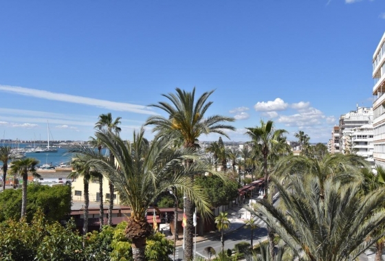 Herverkoop - Appartement / flat - Torrevieja - Centro - Muelle Pesquero