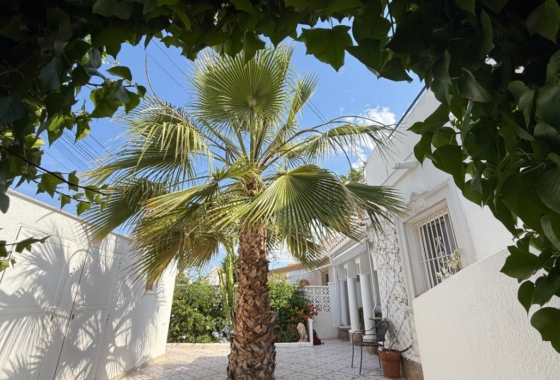 Herverkoop - Villa - Torrevieja - Costa Blanca