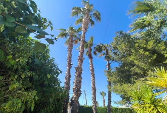 Resale - Villa - Torrevieja - La Siesta