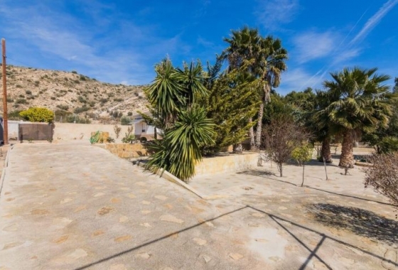 Herverkoop - Villa - Elche - Costa Blanca