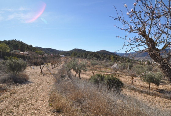 Herverkoop - Finca - Monóvar/Monóver - Inland