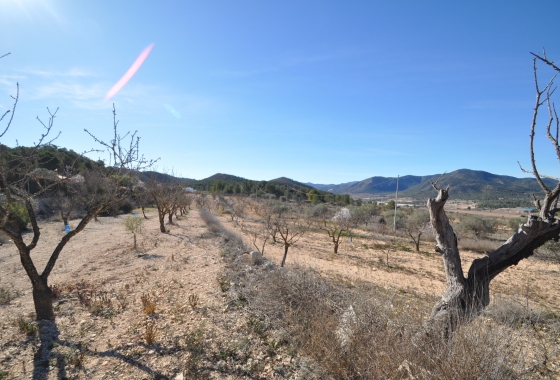 Herverkoop - Finca - Monóvar/Monóver - Inland