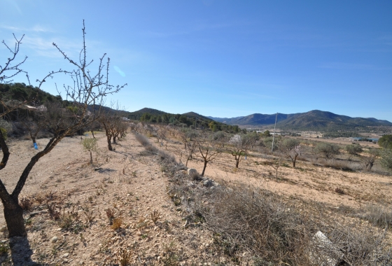 Herverkoop - Finca - Monóvar/Monóver - Inland