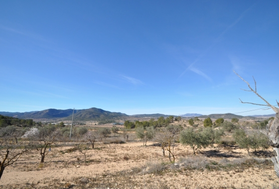 Herverkoop - Finca - Monóvar/Monóver - Inland