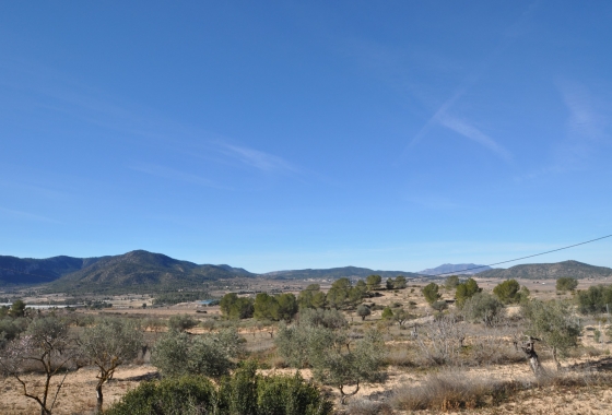 Herverkoop - Finca - Monóvar/Monóver - Inland