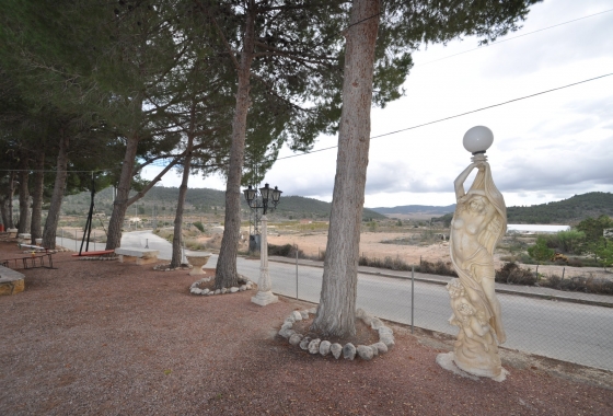 Wiederverkauf - Finca - Pinoso - Inland