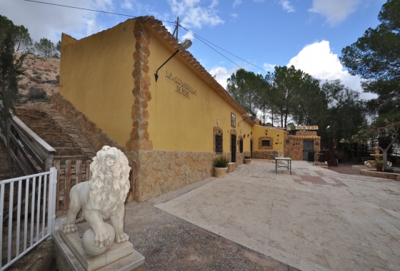 Wiederverkauf - Finca - Pinoso - Inland