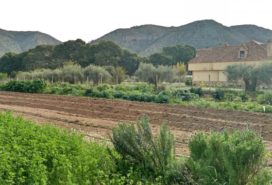 Wiederverkauf - Villa - Aspe - Inland