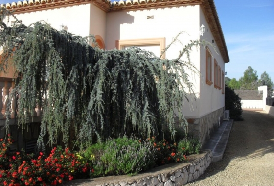 Wiederverkauf - Villa - Jalón - Inland