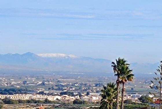 Resale - Villa - Algorfa - Inland