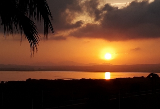 Wiederverkauf - Villa - Torrevieja - Costa Blanca