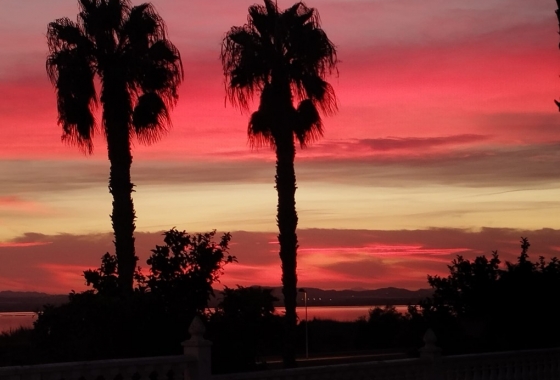 Wiederverkauf - Villa - Torrevieja - Costa Blanca