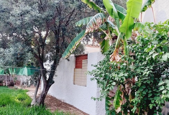 Revente - Villa - Orihuela Costa - Punta Prima