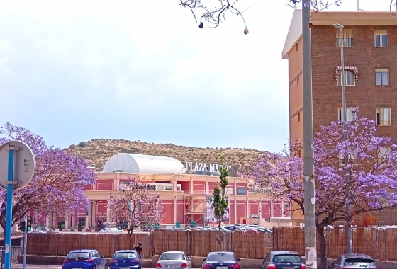 Herverkoop - Appartement / flat - Alicante - Costa Blanca