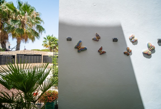 Wiederverkauf - Wohnung - Pilar de la Horadada - Costa Blanca