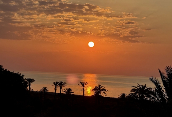 Herverkoop - Penthouse - San Miguel de Salinas - Inland