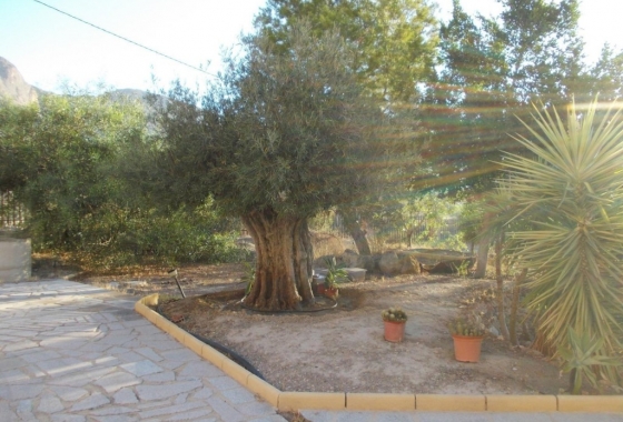 Herverkoop - Villa - Orihuela - Inland