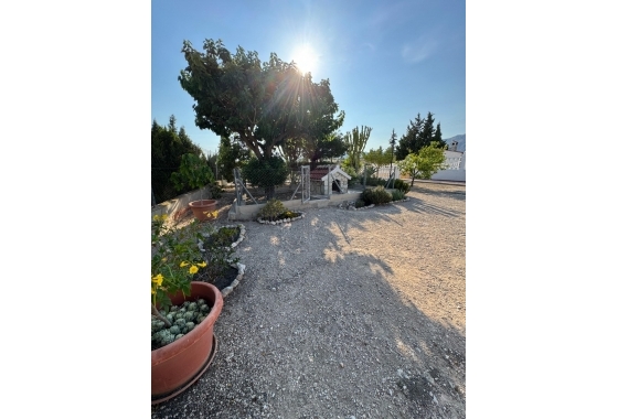 Resale - Villa - Albatera - Partida Lomas