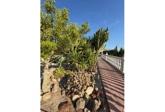 Resale - Villa - Albatera - Partida Lomas