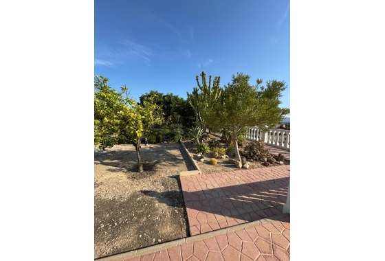 Resale - Villa - Albatera - Partida Lomas