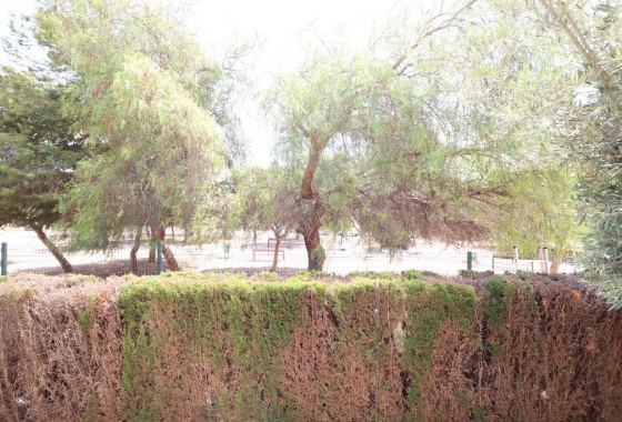 Wiederverkauf - Bungalow - Orihuela Costa - Costa Blanca