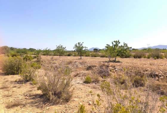 Wiederverkauf - Finca - Villena - Inland