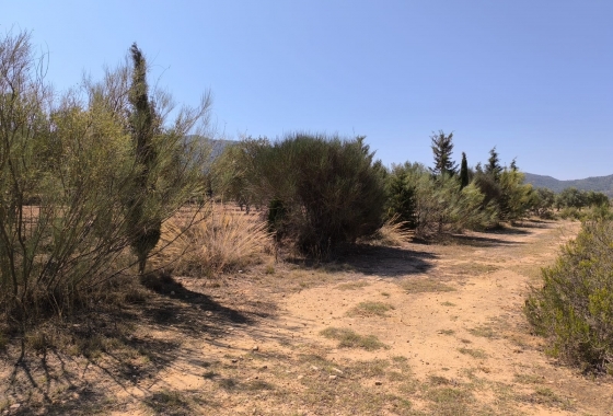 Wiederverkauf - Finca - Villena - Inland