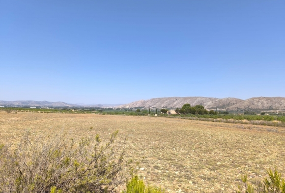 Wiederverkauf - Finca - Villena - Inland