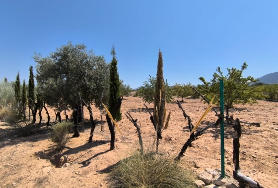 Wiederverkauf - Finca - Villena - Inland