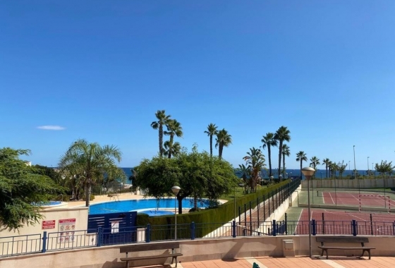 Herverkoop - Appartement / flat - Mil Palmeras - Costa Blanca