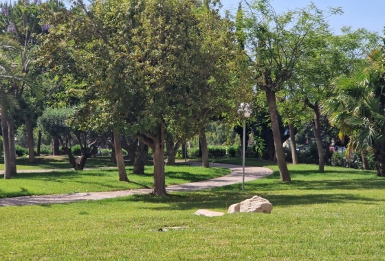 Herverkoop - Appartement / flat - Benidorm - Costa Blanca