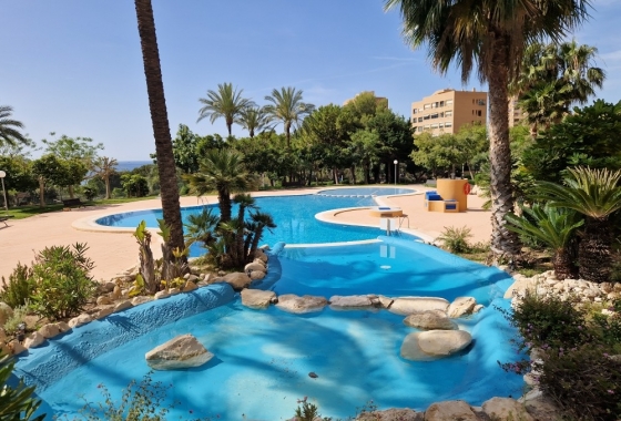 Herverkoop - Appartement / flat - Benidorm - Costa Blanca