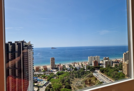 Herverkoop - Appartement / flat - Benidorm - Costa Blanca