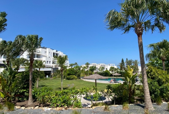 Wiederverkauf - Penthouse - Torrevieja - Punta Prima