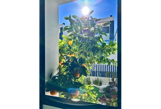 Herverkoop - Villa - Rojales - Inland