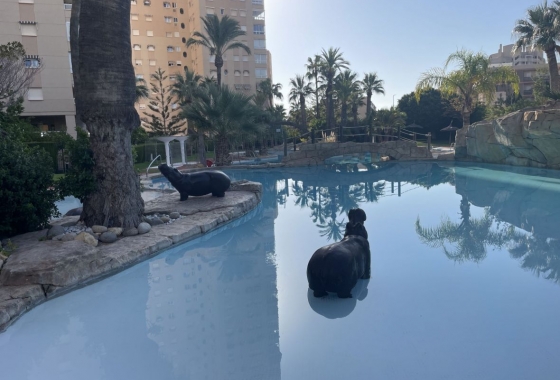 Herverkoop - Herenhuis - El Campello - Costa Blanca